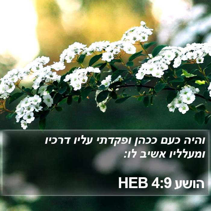 הושע 4:9 HEB Bible Study