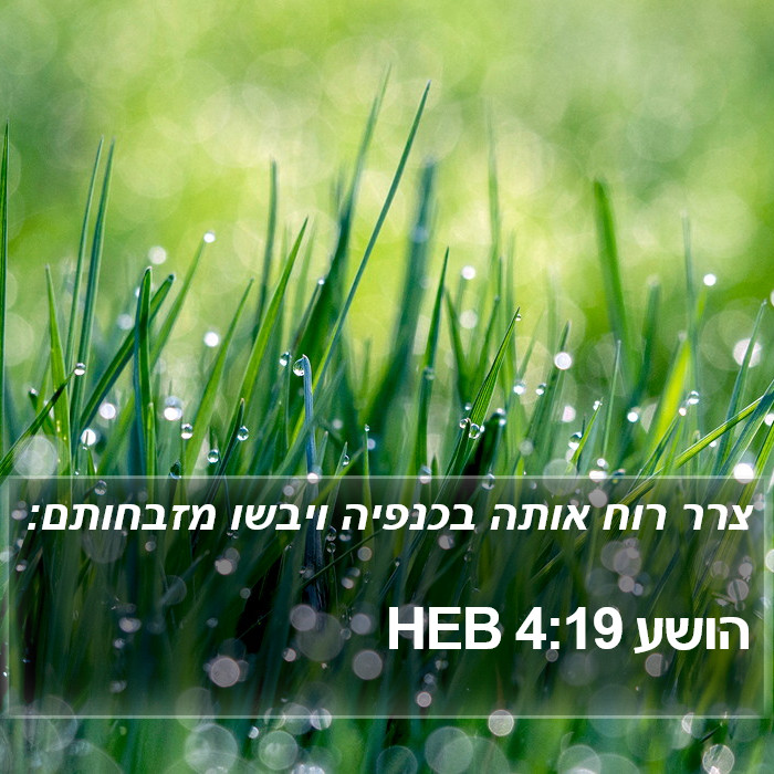 הושע 4:19 HEB Bible Study