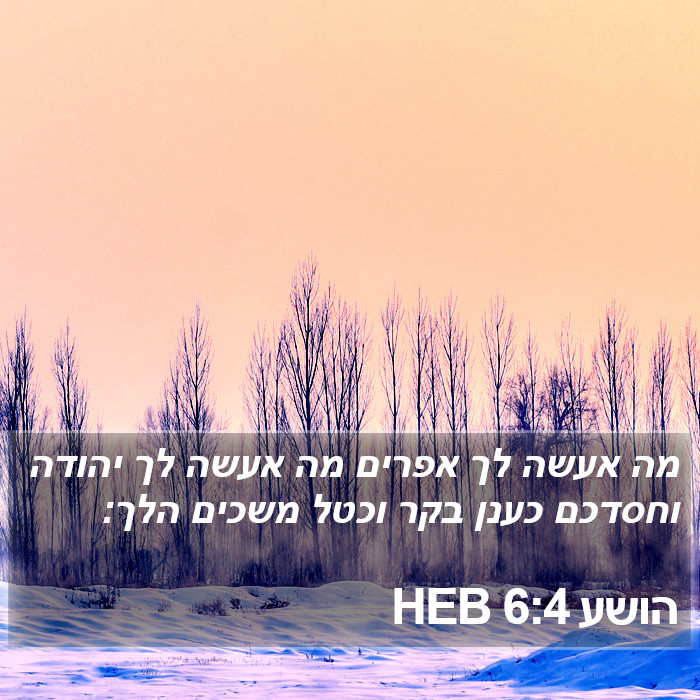 הושע 6:4 HEB Bible Study