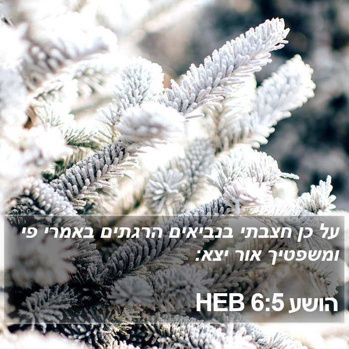 הושע 6:5 HEB Bible Study