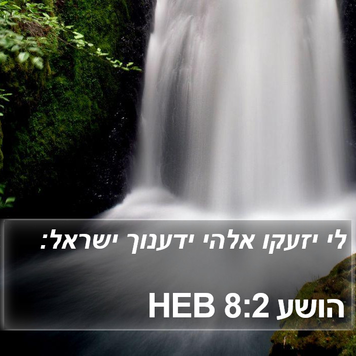 הושע 8:2 HEB Bible Study