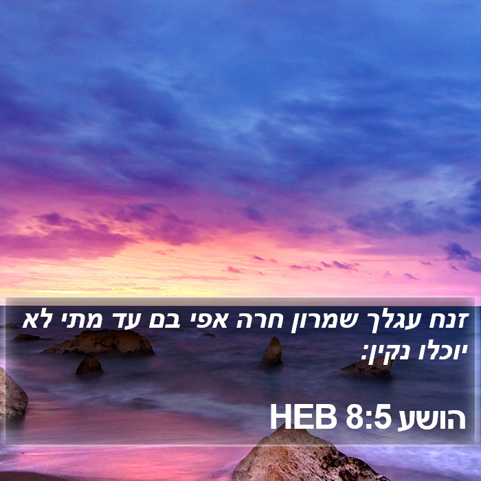 הושע 8:5 HEB Bible Study