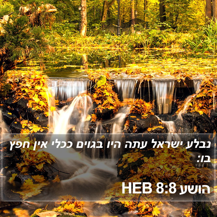 הושע 8:8 HEB Bible Study