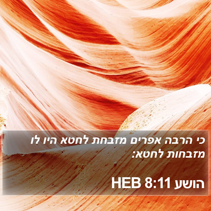 הושע 8:11 HEB Bible Study