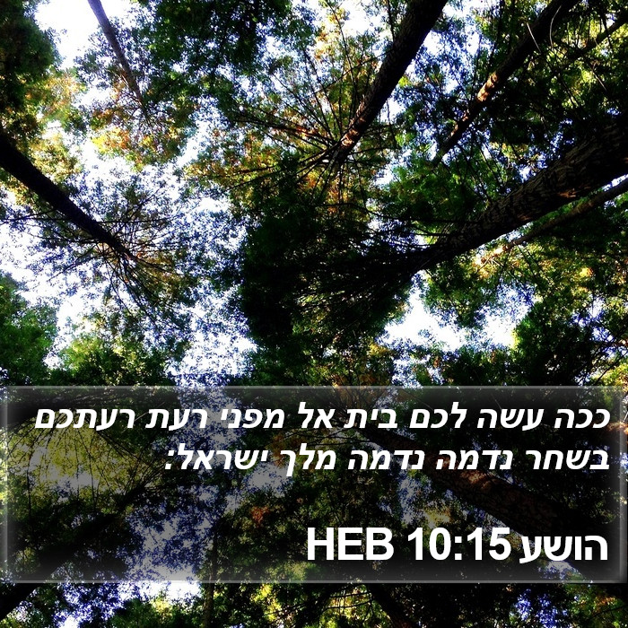 הושע 10:15 HEB Bible Study