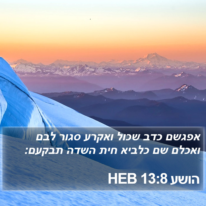 הושע 13:8 HEB Bible Study