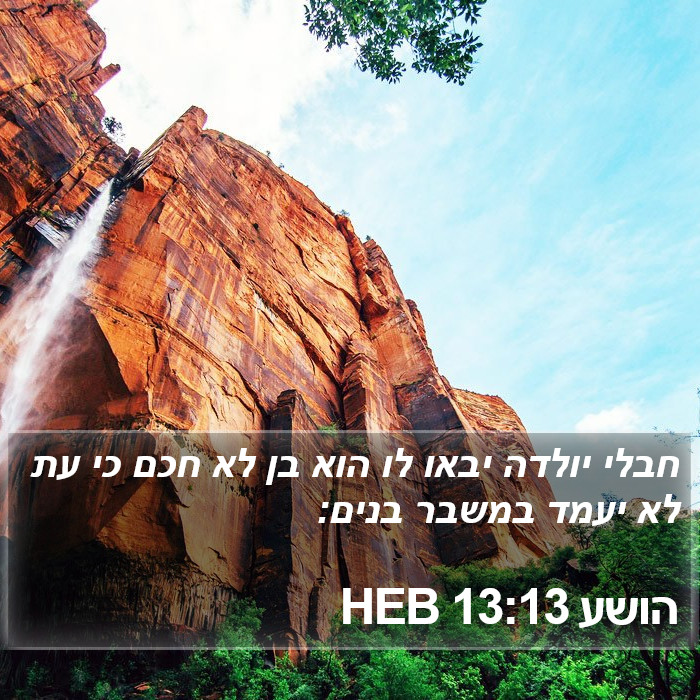 הושע 13:13 HEB Bible Study