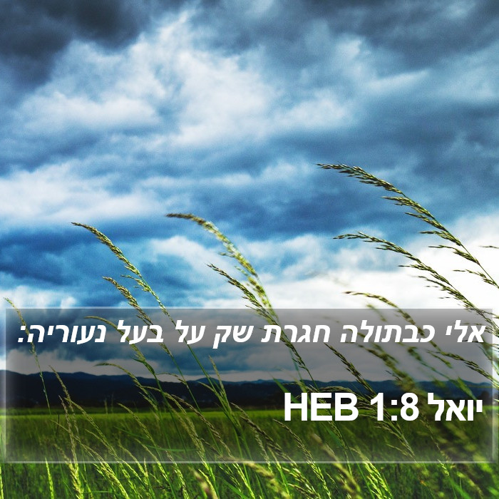 יואל 1:8 HEB Bible Study