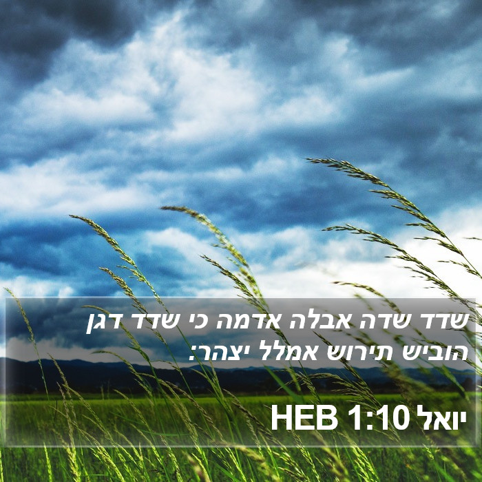 יואל 1:10 HEB Bible Study