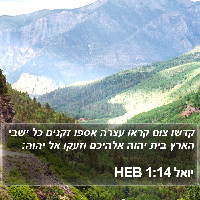 יואל 1:14 HEB Bible Study