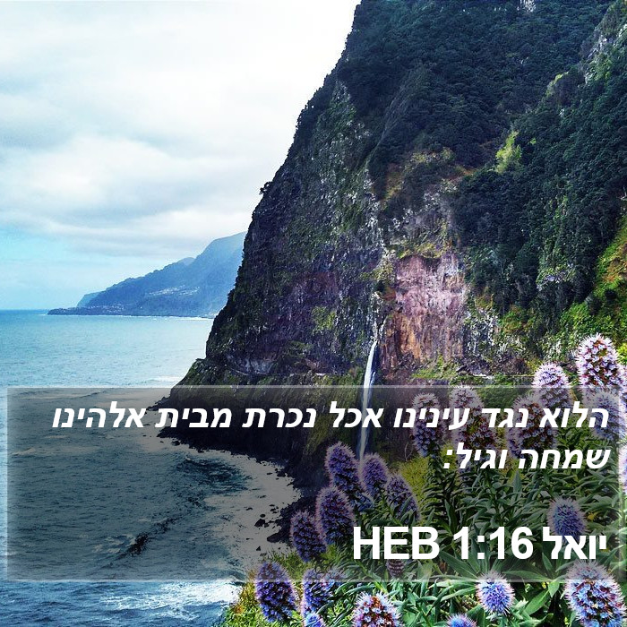 יואל 1:16 HEB Bible Study