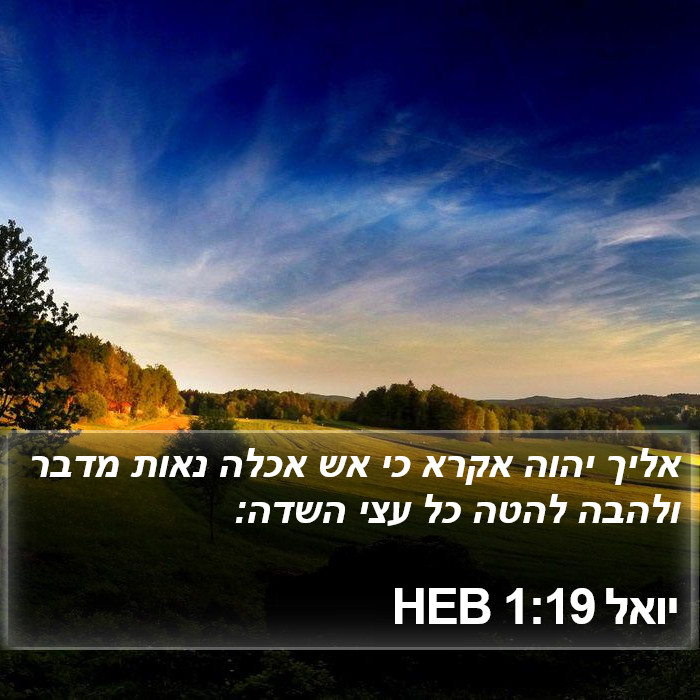 יואל 1:19 HEB Bible Study