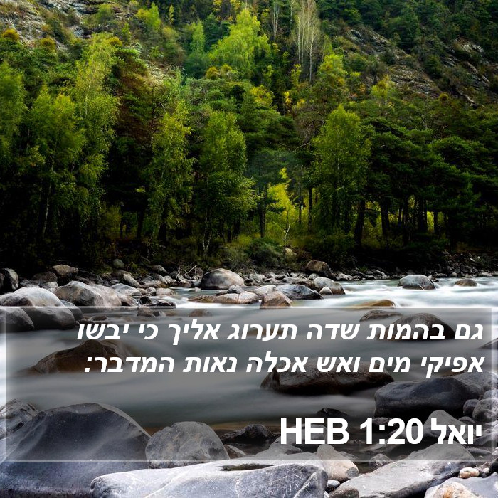 יואל 1:20 HEB Bible Study