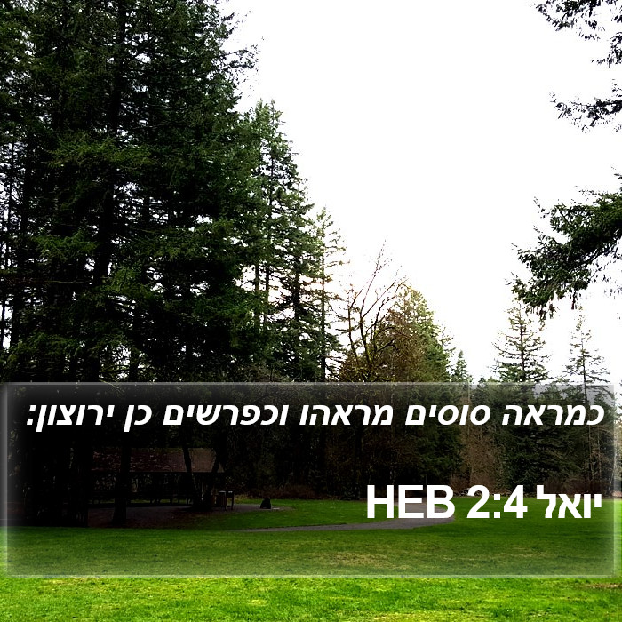 יואל 2:4 HEB Bible Study