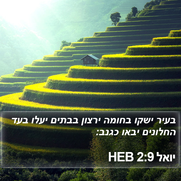 יואל 2:9 HEB Bible Study