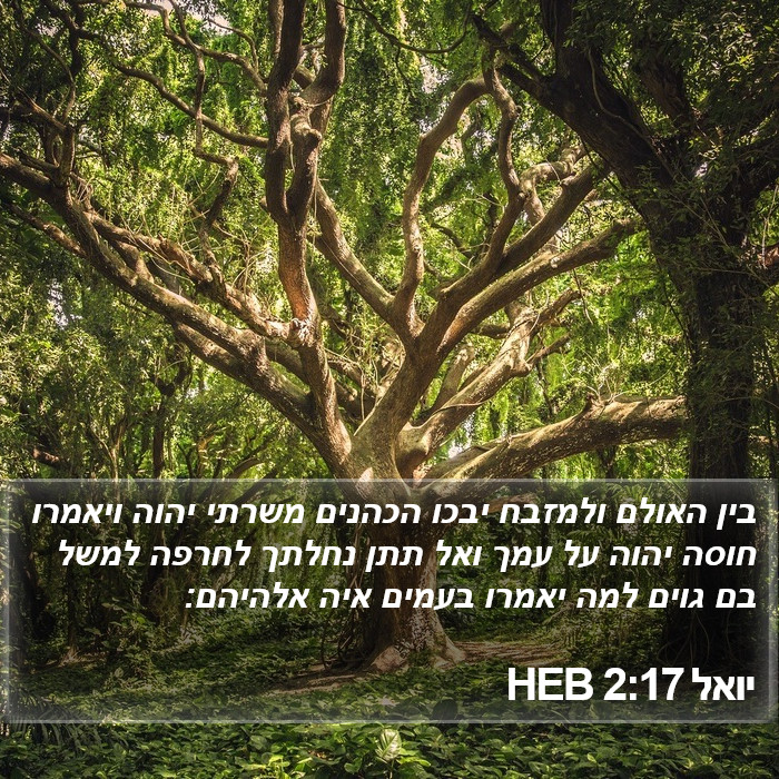 יואל 2:17 HEB Bible Study