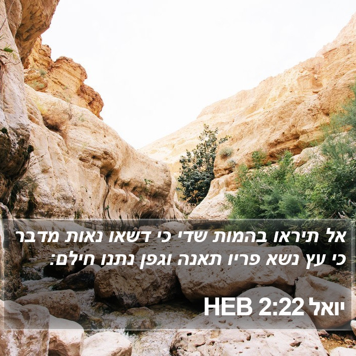 יואל 2:22 HEB Bible Study