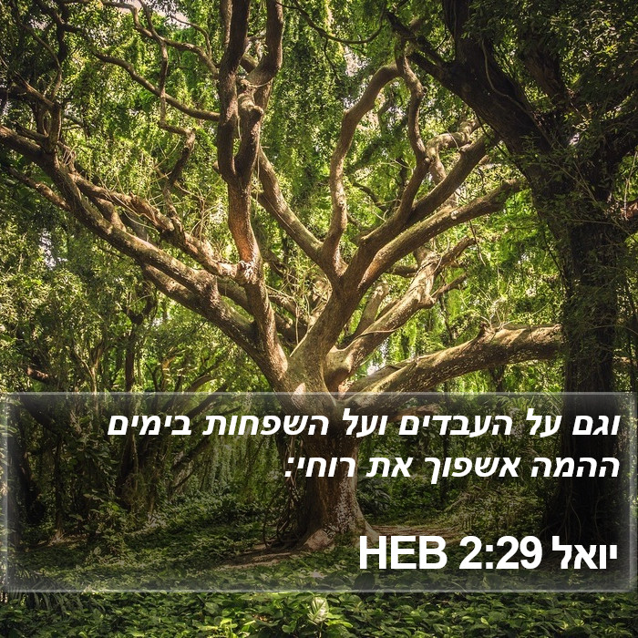 יואל 2:29 HEB Bible Study