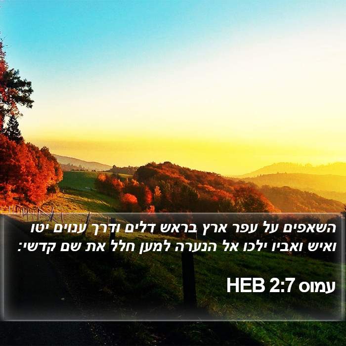 עמוס 2:7 HEB Bible Study