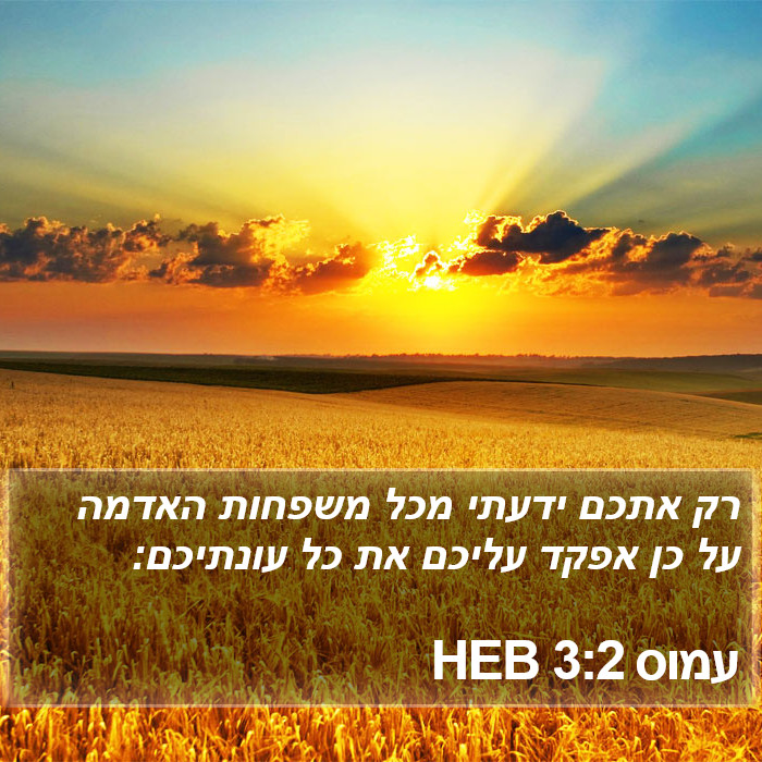 עמוס 3:2 HEB Bible Study