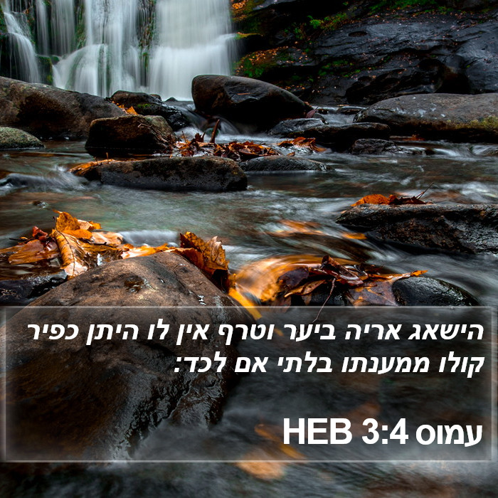 עמוס 3:4 HEB Bible Study