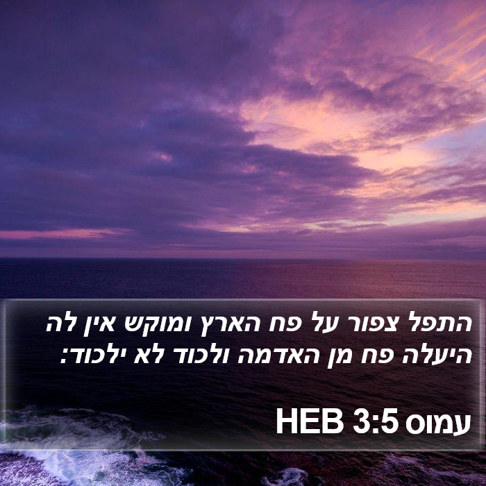 עמוס 3:5 HEB Bible Study