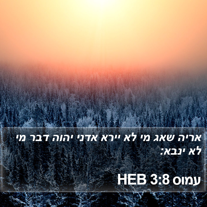 עמוס 3:8 HEB Bible Study