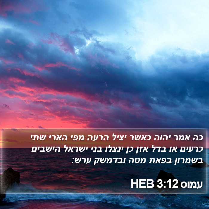 עמוס 3:12 HEB Bible Study