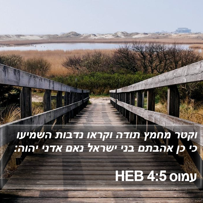 עמוס 4:5 HEB Bible Study