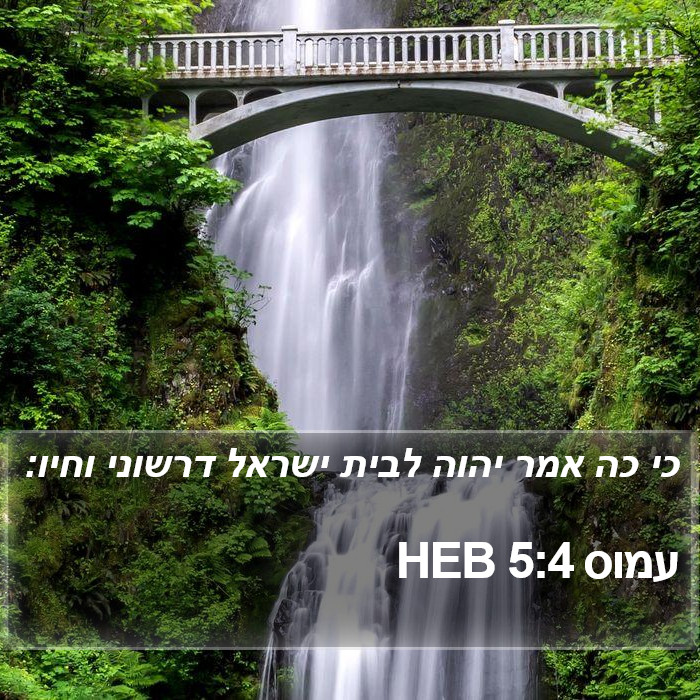 עמוס 5:4 HEB Bible Study