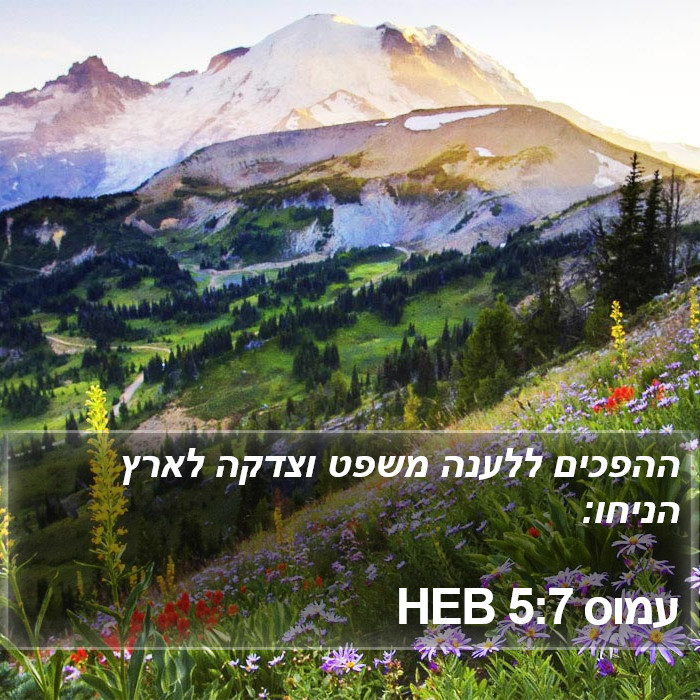 עמוס 5:7 HEB Bible Study