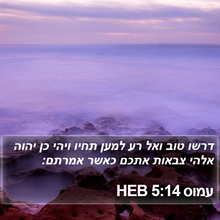 עמוס 5:14 HEB Bible Study