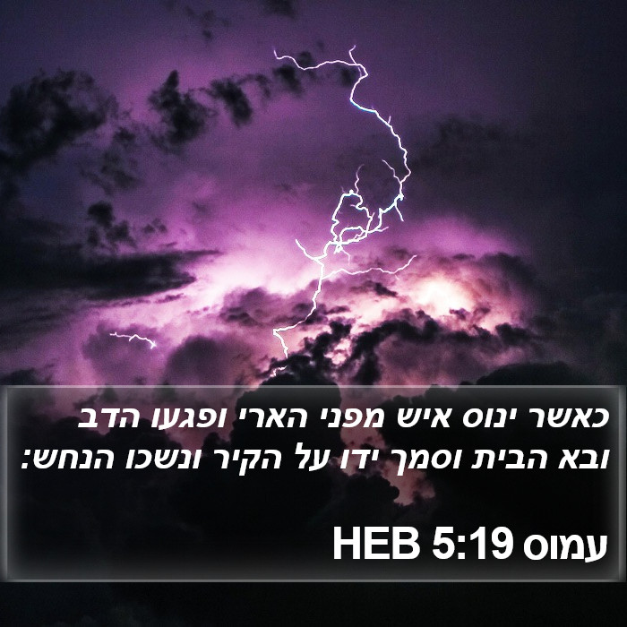 עמוס 5:19 HEB Bible Study