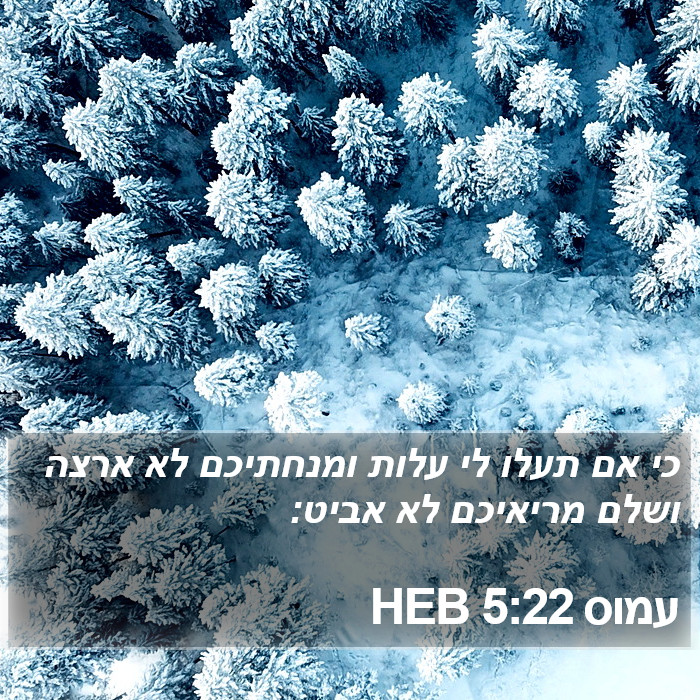 עמוס 5:22 HEB Bible Study