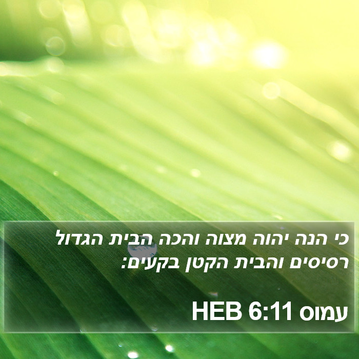 עמוס 6:11 HEB Bible Study