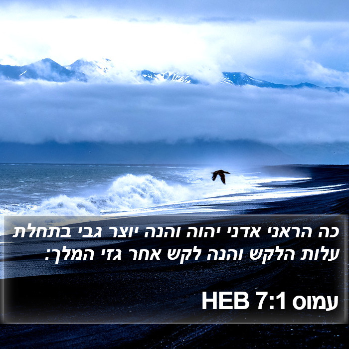 עמוס 7:1 HEB Bible Study