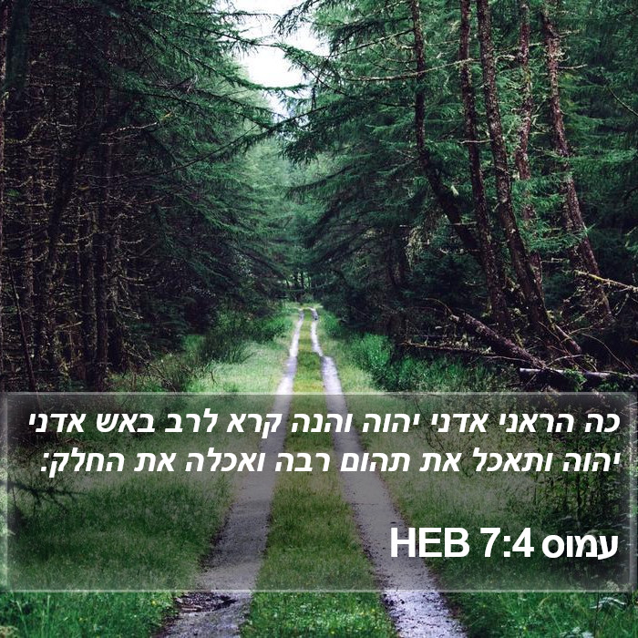 עמוס 7:4 HEB Bible Study