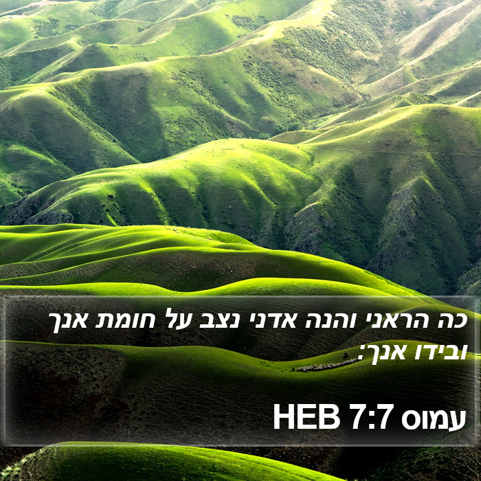 עמוס 7:7 HEB Bible Study