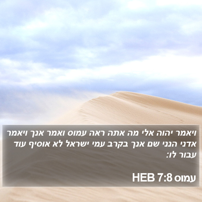 עמוס 7:8 HEB Bible Study