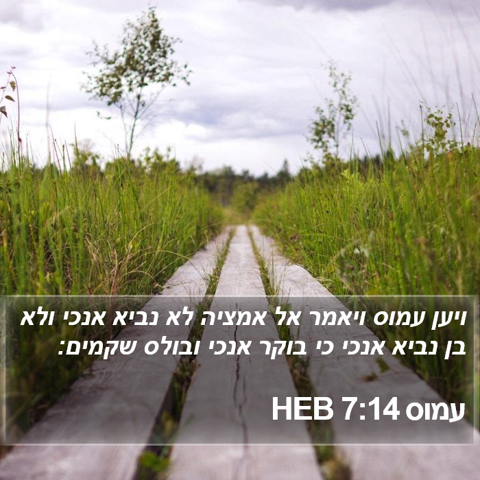 עמוס 7:14 HEB Bible Study