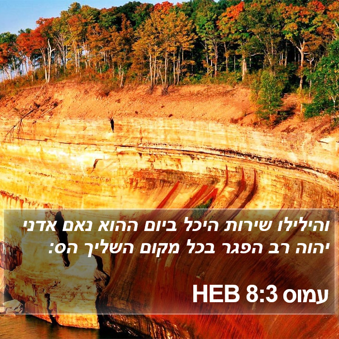 עמוס 8:3 HEB Bible Study