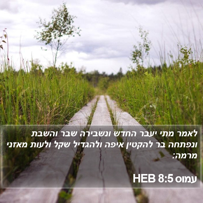 עמוס 8:5 HEB Bible Study