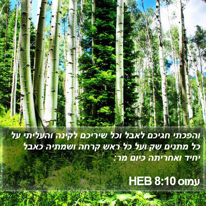 עמוס 8:10 HEB Bible Study