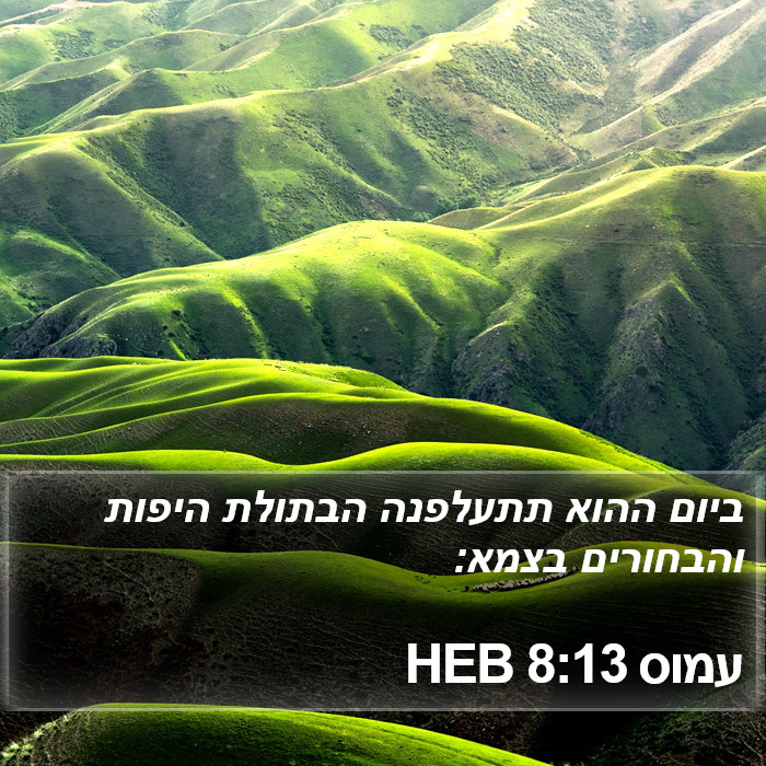 עמוס 8:13 HEB Bible Study