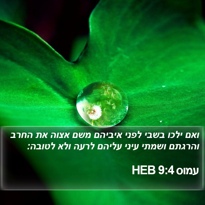 עמוס 9:4 HEB Bible Study