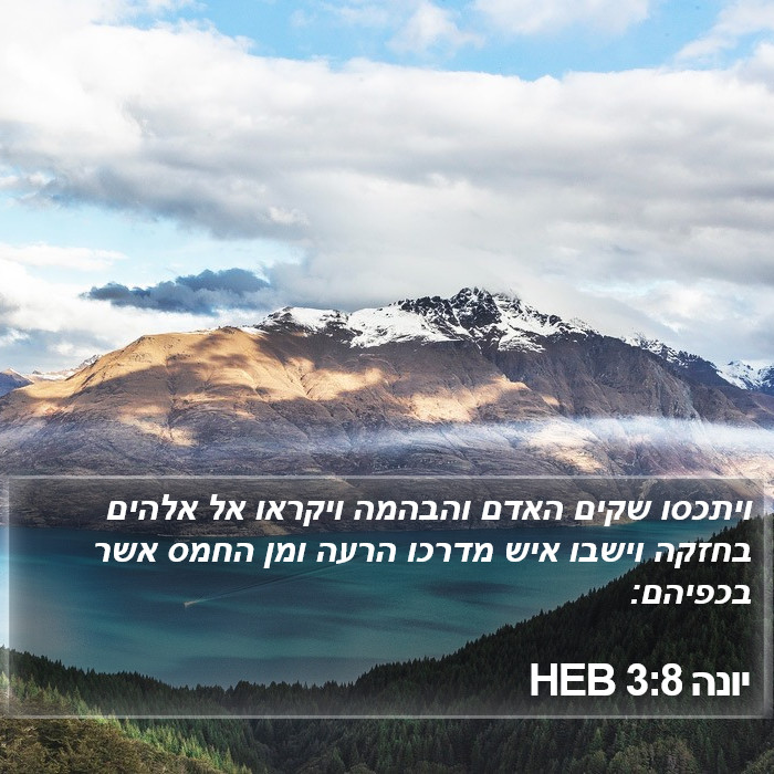 יונה 3:8 HEB Bible Study