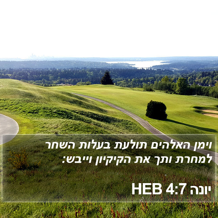 יונה 4:7 HEB Bible Study