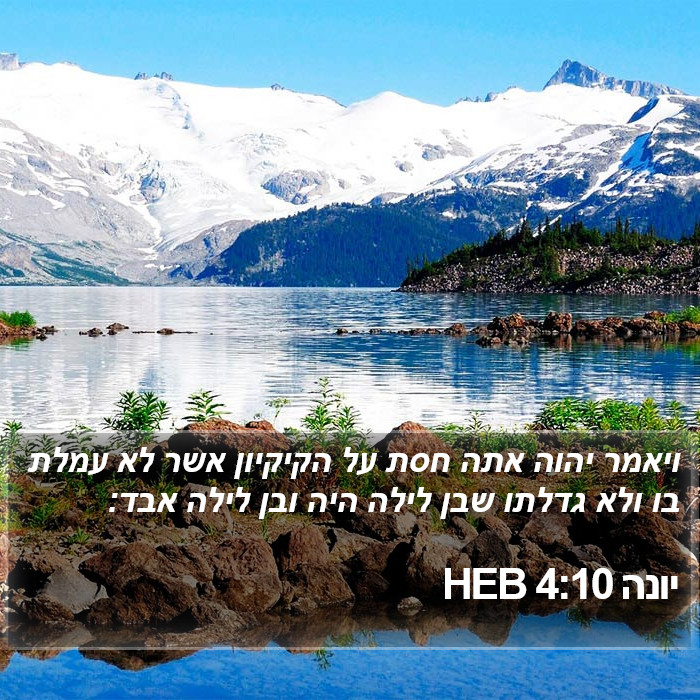 יונה 4:10 HEB Bible Study