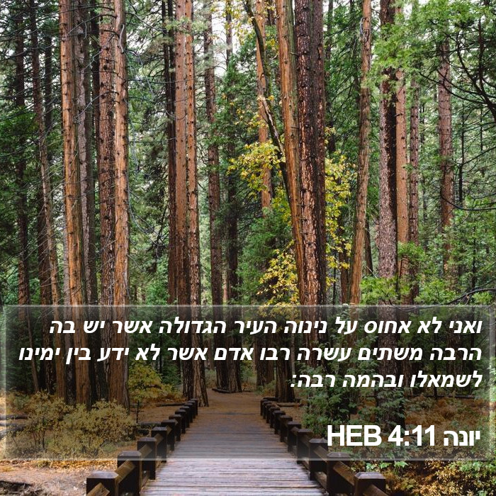 יונה 4:11 HEB Bible Study