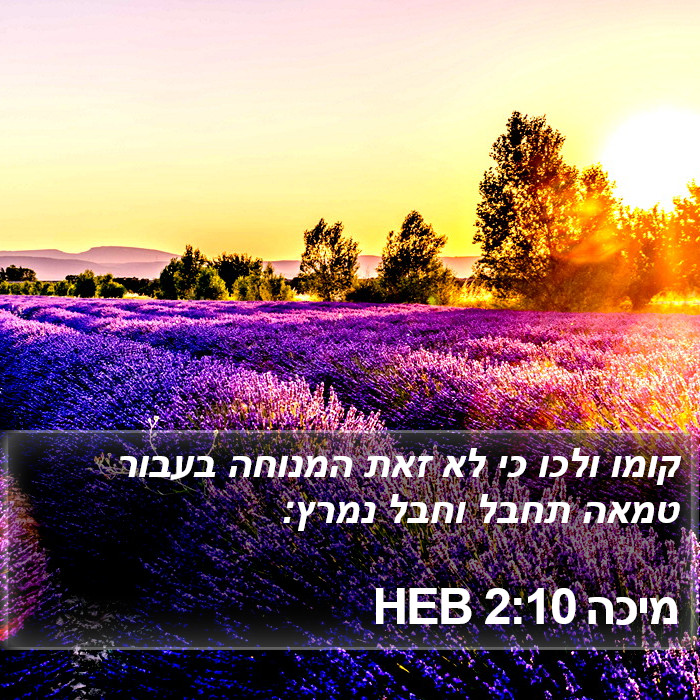 מיכה 2:10 HEB Bible Study